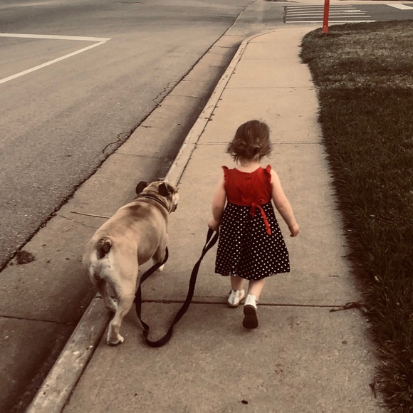 Welcome to my closet! Enjoy a few pictures of my bully and his baby ❤️❤️ - Picture 2 of 16